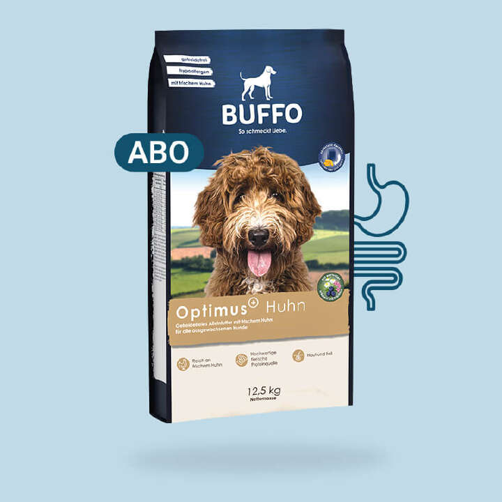Highlightprodukt Buffo Optimus 800x800